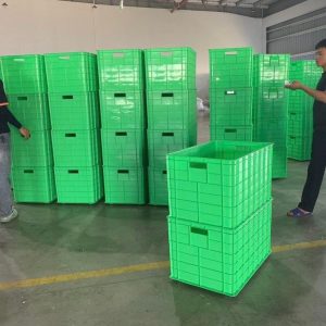 Đồ dùng CN Ms: 01